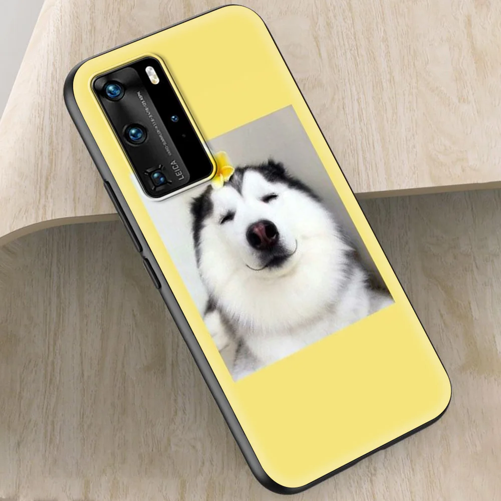

Dog Silicone Soft Case for Huawei P30 P20 P10 Pro P20 Lite P40 Pro Plus P Smart Z 2021 Luxury Phone Coque