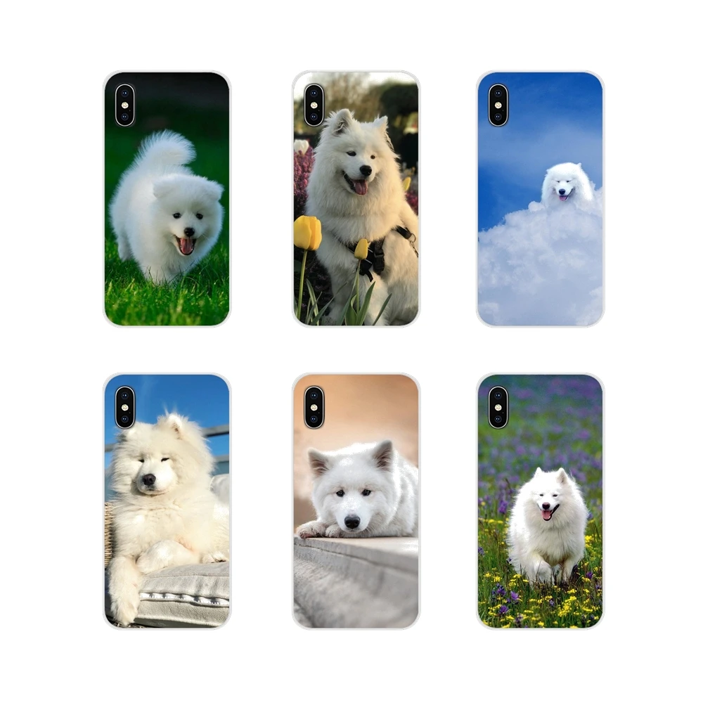 Белый самоед собака прекрасный прозрачный чехол из термополиуретана с Чехлы для