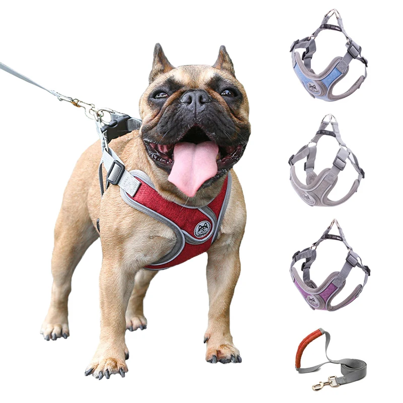 

No pull dog harness vest reflective small dog leash and collar for terrier schnauzer pet cat walking training supplies chihuahua