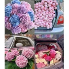 5D сделай сам, автомобиль, цветок, полная выкладка, алмазная живопись, красочная вышивка крестиком ручной работы, мозаика, домашний декор для стен комнаты