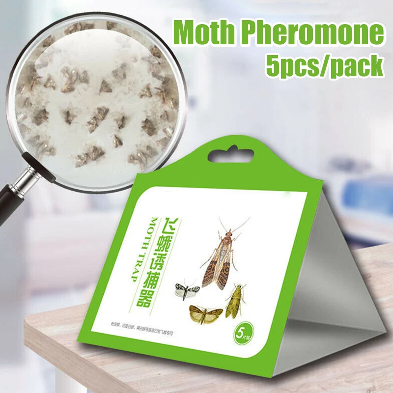 

5 Pack/Set Attractant Moth Trap Pantry Kitchen Anti Moth Traps NW