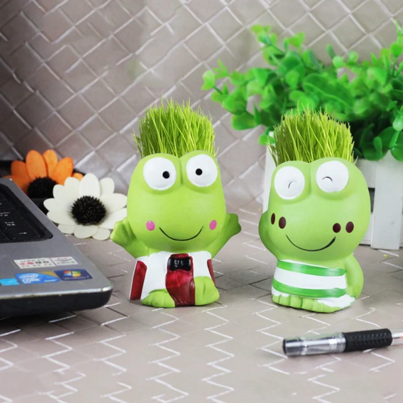 Оригинальный экологический домашний растительный мусор мульти мясо цветочный