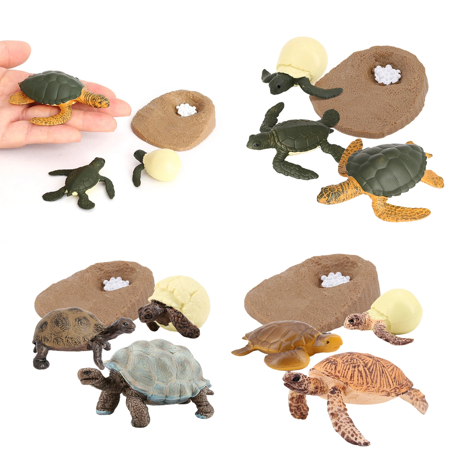 Modelo de ciclo de vida para tortuga marina, 4 etapas de crecimiento, educaci&oacute;n para ni&ntilde;os, juguetes cognitivos de Navidad-4