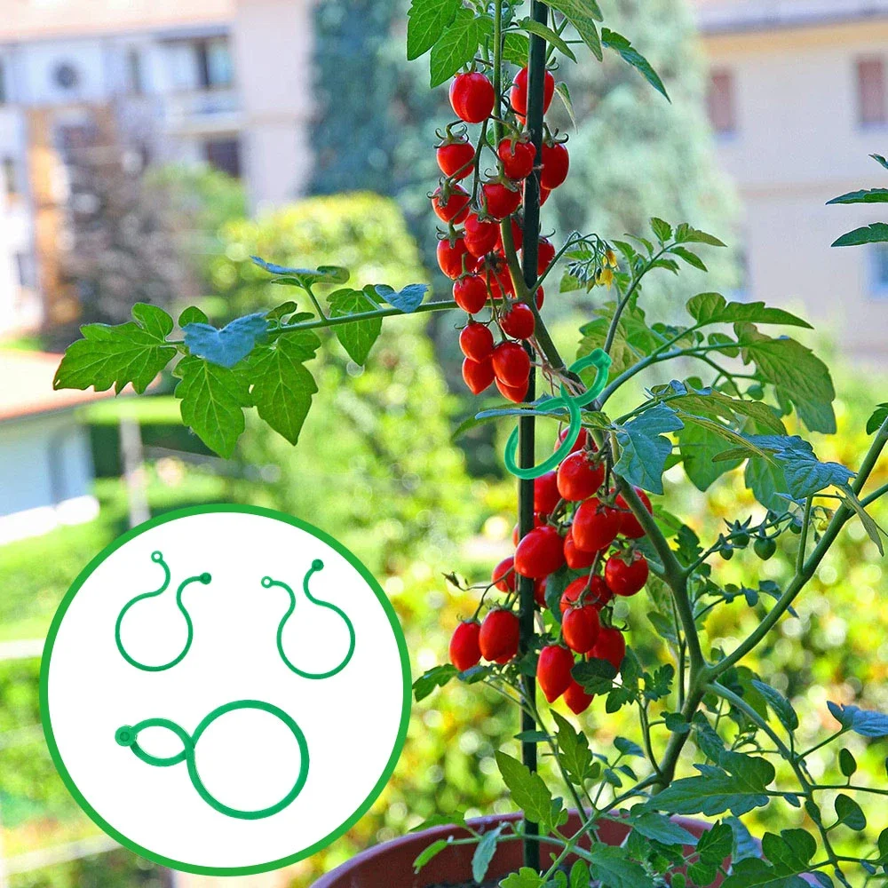 

50/100/200Pcs Plastic Grafting Clip Garden Plant Holder Trellis Clips For Vine Vegetable New Tomato Growing Garden Plant Support