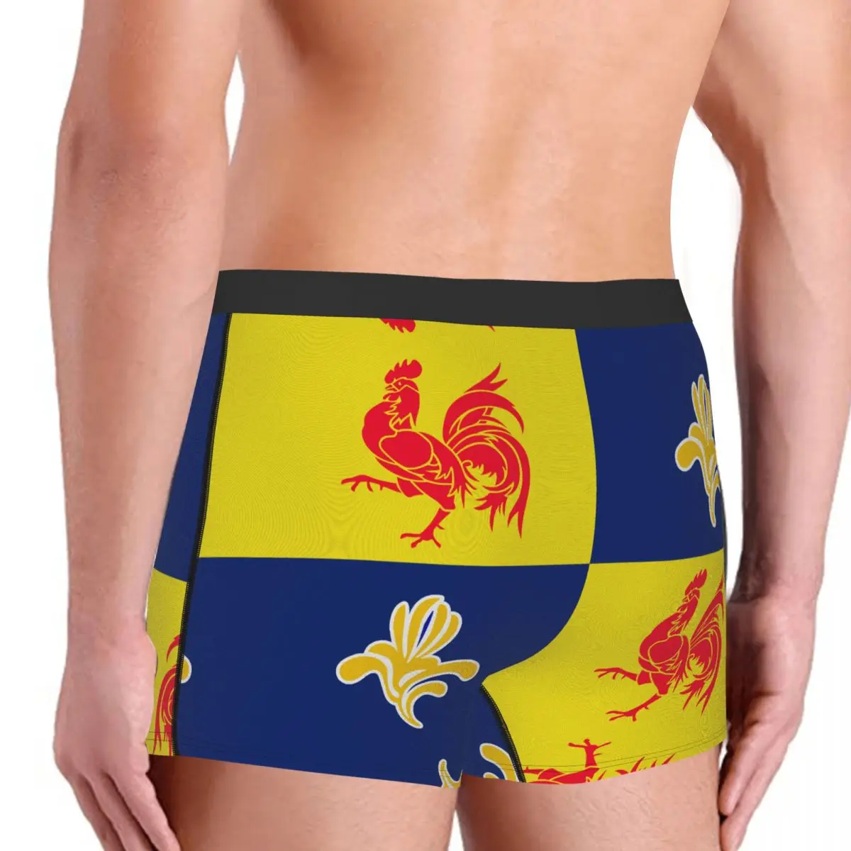 Flag Of The French Community Commission Men's Boxer Briefs Belgian Funny Geek Men's boxer leggings