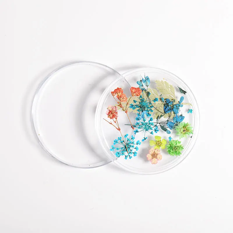 

dry flower decoration nail 12 color mixed decoration aestheticism immortal flower Japanese natural DIY Nail accessories