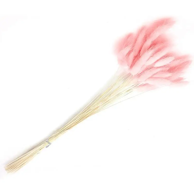 

1 Bunch Natural Dried Flowers color Rabbit Tail Grass Bunch Bouquet for Home Wedding Decoration