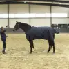 Изображение товара 1