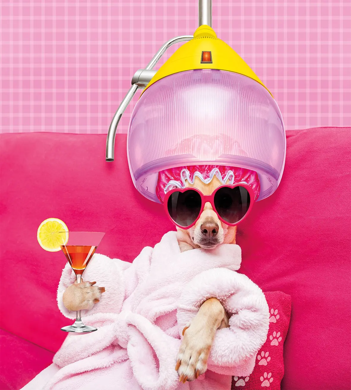 Funny Duvet Cover Set King Size Chihuahua Dog Relaxing and Lying in Wellness Spa Fashion Puppy Comic Print Decorative 3 Piece | Дом и сад