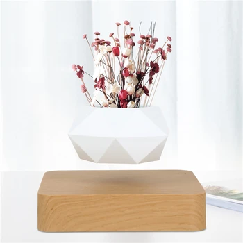 Magnetic Levitating flower pot 1