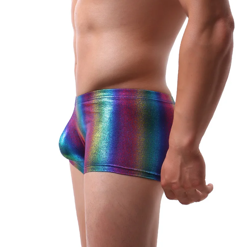 Мужские боксеры шорты Радужное нижнее белье чехол для пениса Calzoncillos Hombre Homme