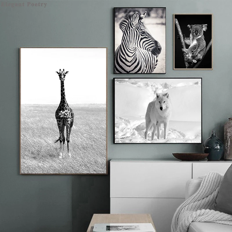 Жираф волк Зебра животное коала Wall Art плакат черный белый цвет на фото в стиле