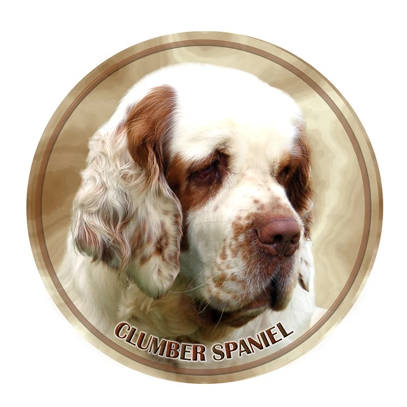 

S40365# Various Sizes PVC Decal Clumber Spaniel Dog Car Sticker For Bumper Rear Window Laptop Refrigerator Toilet