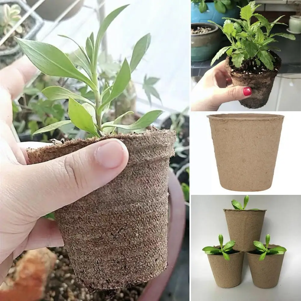 

Nursery Bowl Wholesale Pulp Nursery Bowl Can Be Degradable Height Diameter / 6cm Products Export 6cm Q7k8