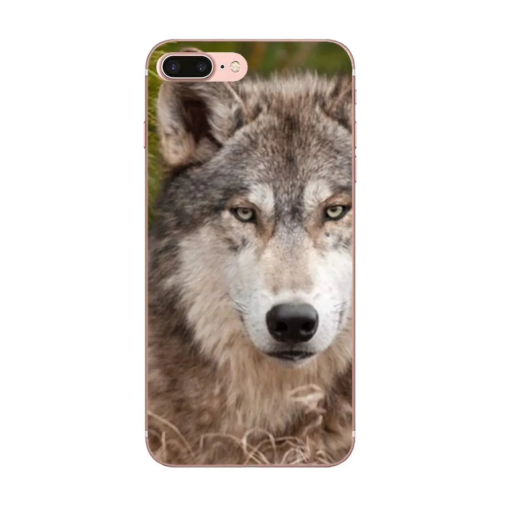 Чехол волк на снегу идеально подходит для Apple iPhone 4 4S 5 5C 5S SE SE2 6 6S 7 8 11 Plus Pro X XS Max XR