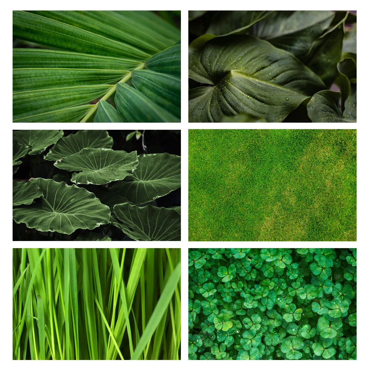 

Green Plants Photography Backdrop Clover Lotus Leaf Cloth Background Photo Props
