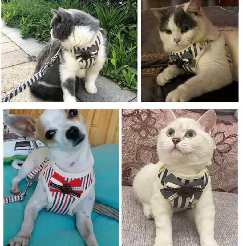 Воздухопроницаемые сетчатые полосатые дышащие плюшевые нагрудные ремни для