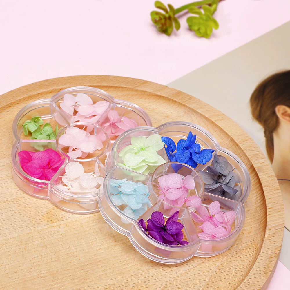 6 видов цветов сухие ногти цветок Стикеры реальные DryFlower синий/розовый/фиолетовый