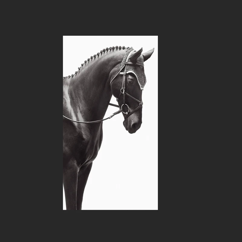 

76x140cm Brown Horse Wild Animals Oil Painting on Canvas Scandinavian Posters and Prints Wall Art Pictures For Living Room