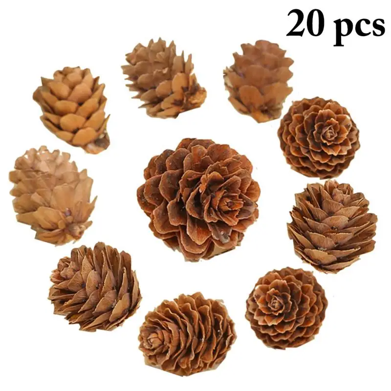 

20 Pcs Natural Pine Nuts Fruit Artificial Flowers Pineapple Cones For DIY Home Party Wedding Christmas Decoration