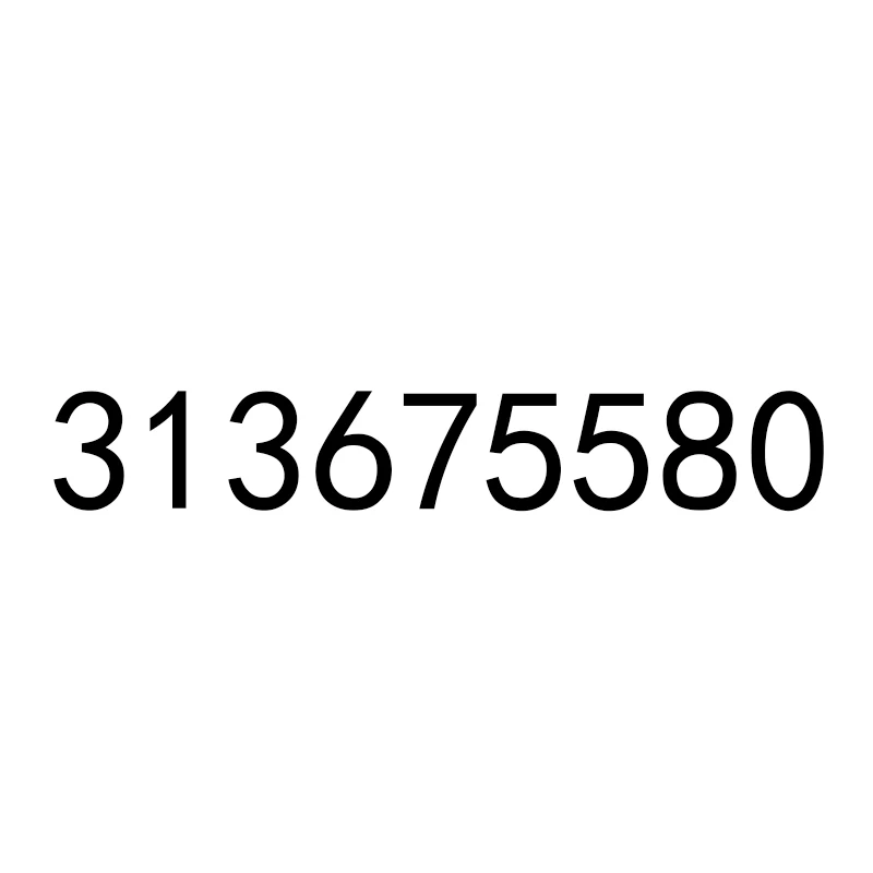 

313675580