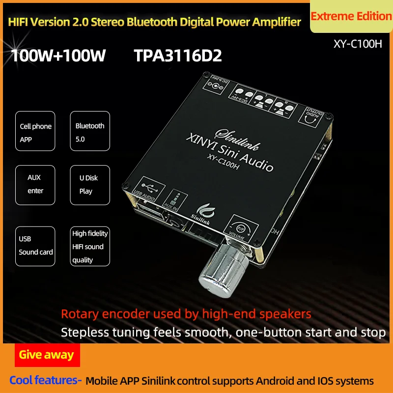 C100H HIFI 100WX2 TPA3116D2 Bluetooth 5 0 высокомощный цифровой усилитель стереоплата AUX USB