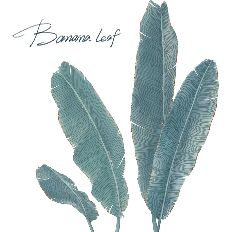 [SHIJUEHEZI] наклейки на стену с изображением бананового дерева виниловые стены для