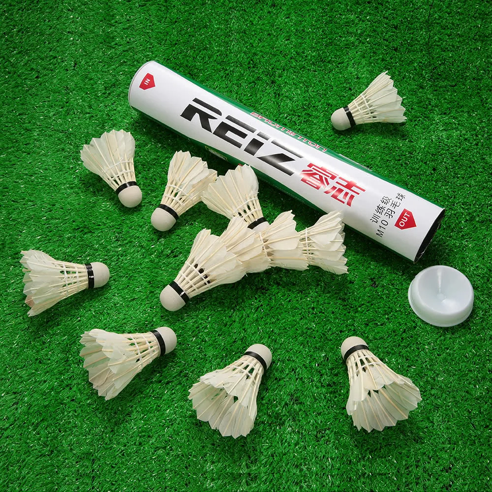 

12pcs Badmintons Duck/Goose Feather Cock/Foam Head Shuttle Cocks Shuttlecocks Set Badminton Ball Game with Storage Tube
