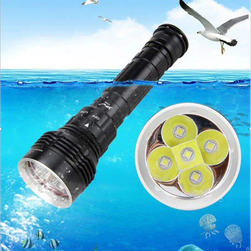 

Portable Lighting