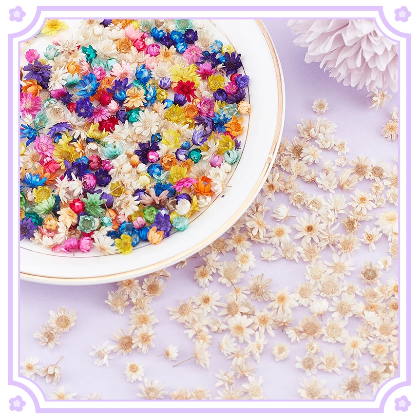 

200pcs Dried Flowers For DIY Epoxy Resin Candle Making Jewellery Glass Filler