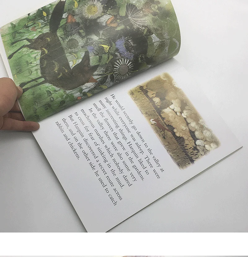 Книга с изображениями Джона бернингем арквина для детей в английском классе лиса