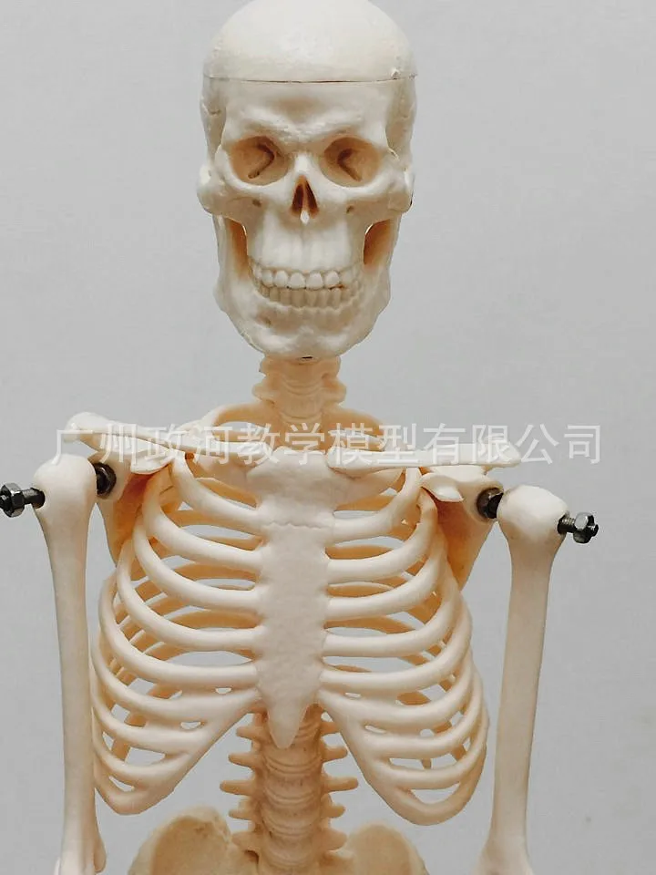 Штатив для медицинских целей 45 см | Канцтовары офиса и дома