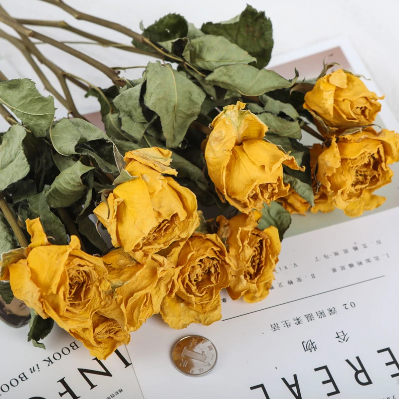 10 шт. Натуральные сушеные цветы букет из сушеной розы декоративные для украшения