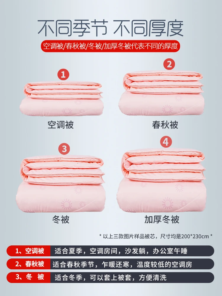 

Air Thickening Keep Warm Double Person Thin Quilt Single Person Student Quilt With Cotton Wadding Autumn Quilt The Quilt Core