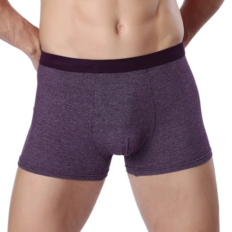Purple 2PCS Хлопковое белье, бесшовное Мужское нижнее белье, 2 шт., дышащие трусы-боксеры, мягкие, удобные, Calzoncillo Hombre, качественные трусы-боксеры - Цвет: Purple 2PCS