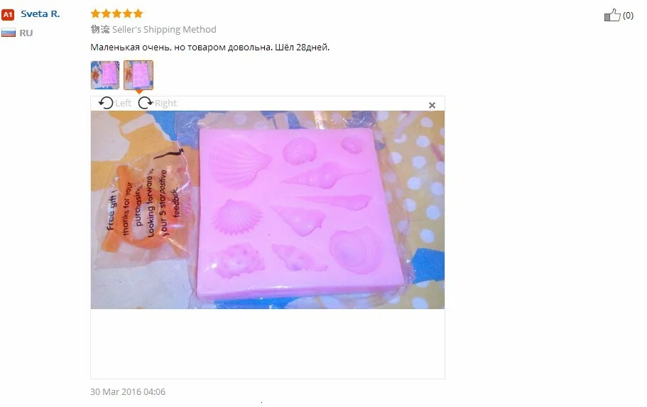 Delidge 3D раковины шаблон силиконовый помадка плесень DIY морская тема шоколадное печенье плесень паста конфеты торт украшение инструмент
