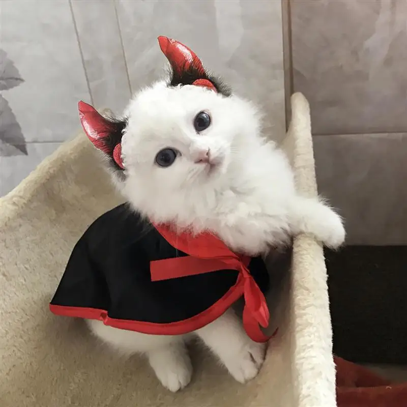 

Pet Cat Cosplay Cloak Costume Horn Halloween Pet Costumes Cute Cosplay Vampire Cloak Cape Dog Cap with Cosplay Horns