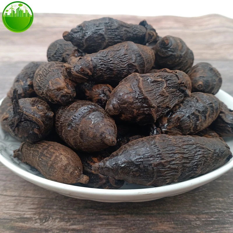 Орех Areca орех сухие жареные Сушеные Орехи Betel Catechu сушеные травы| |