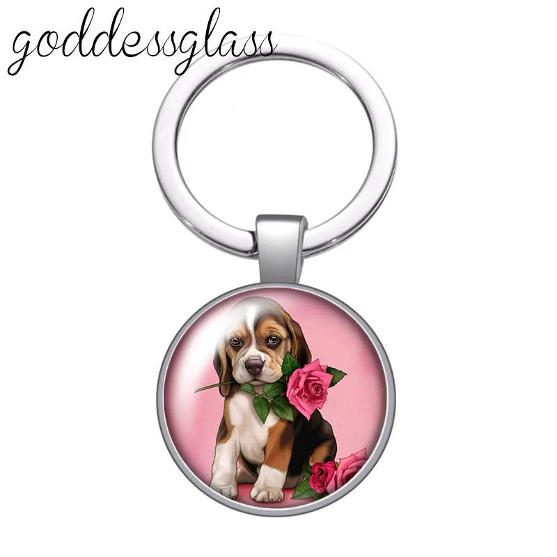 С мультяшной собакой для домашних животных своего померанского шпица Мопс колли