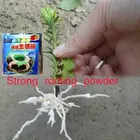 Быстрый порошок для укоренения корневой гормон порошок восстановление цветов приживаемость растений порошковое удобрение садовый декор
