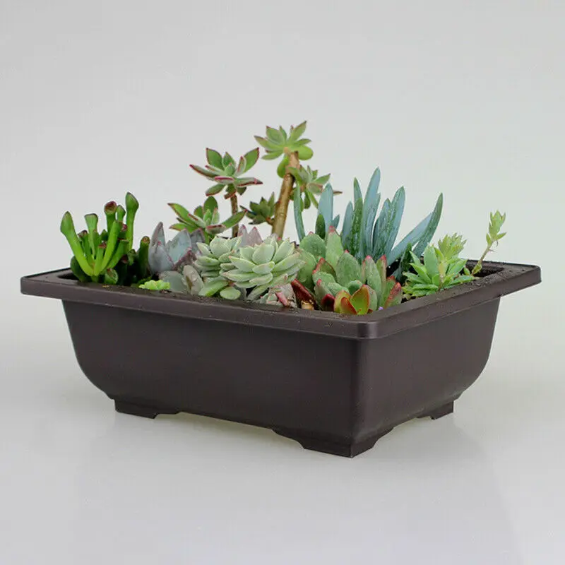 

Large Flower Pot Rectangle Bonsai Nursery Planter Balcony Container 29X21X10.5cm