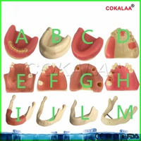 good quality 1pcs dental materials dental model oral implant surgery maxillary sinus dental supplies equipment tools soft gums