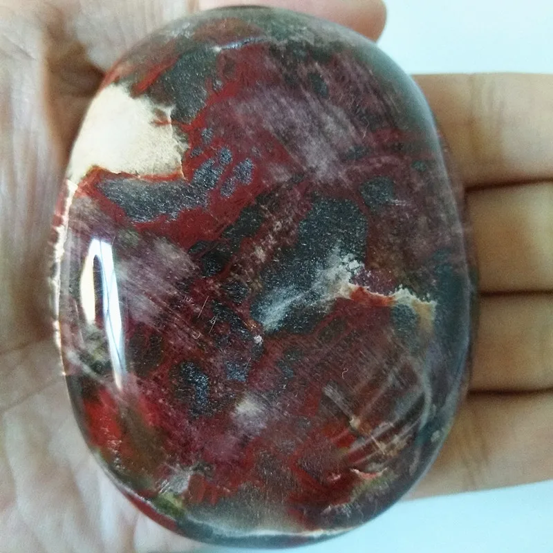 Натуральное дерево fossilThe fossilized камень из натуральной деревянной пальмы