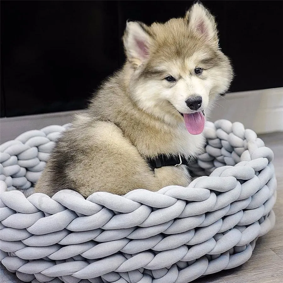 Cat Bed Round Dog Beds Hand Made Thick Wool Pet Kennel Washable Dogs Nest for Small Medium Pets Couch Puppy | Дом и сад