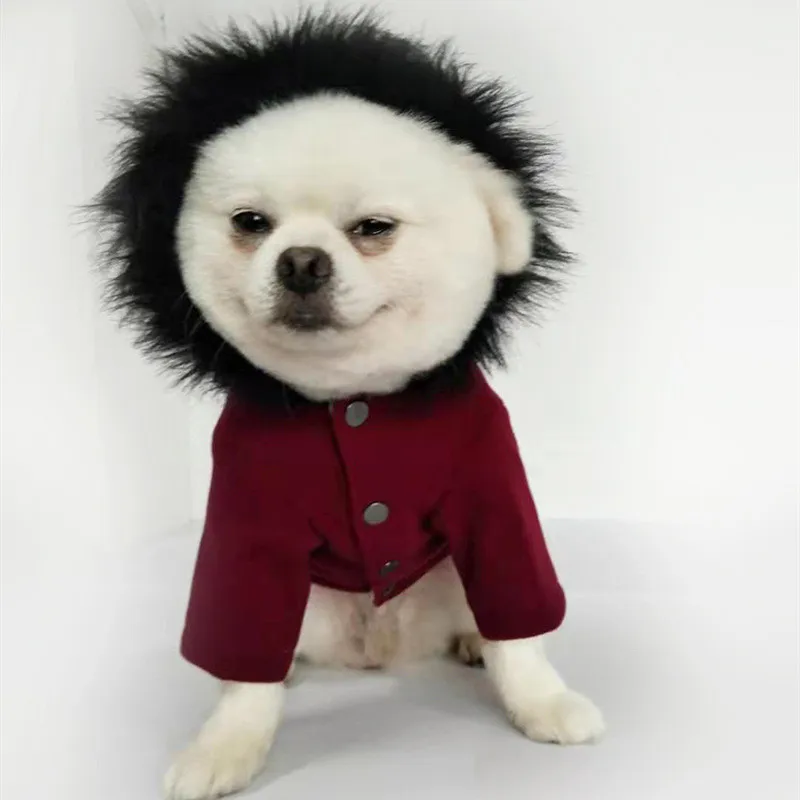 Зимняя одежда для собак пальто куртка меховой ошейник костюм собаки с капюшоном