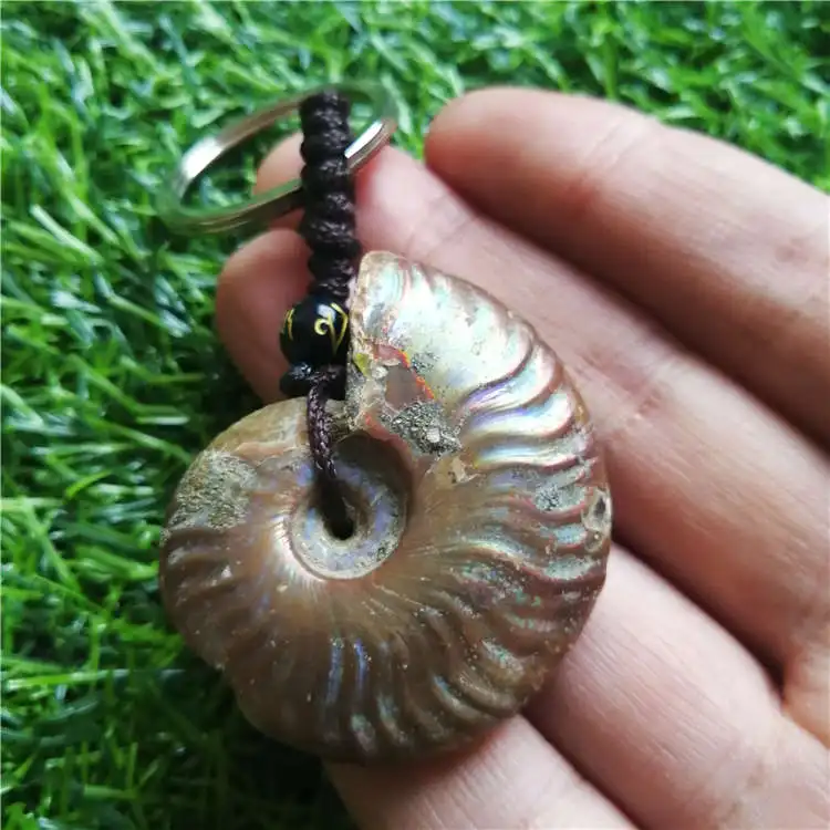 Beautiful Natural Stone Ammonite Fossils Seashell Snail keychain Ocean Reliquiae Conch Animal Necklaces Statement Men Jewellery | Украшения