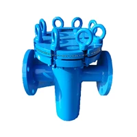 basket type decontamination device filterhair divertor vertical straight pipe decontamination deviceswimming pool equipment