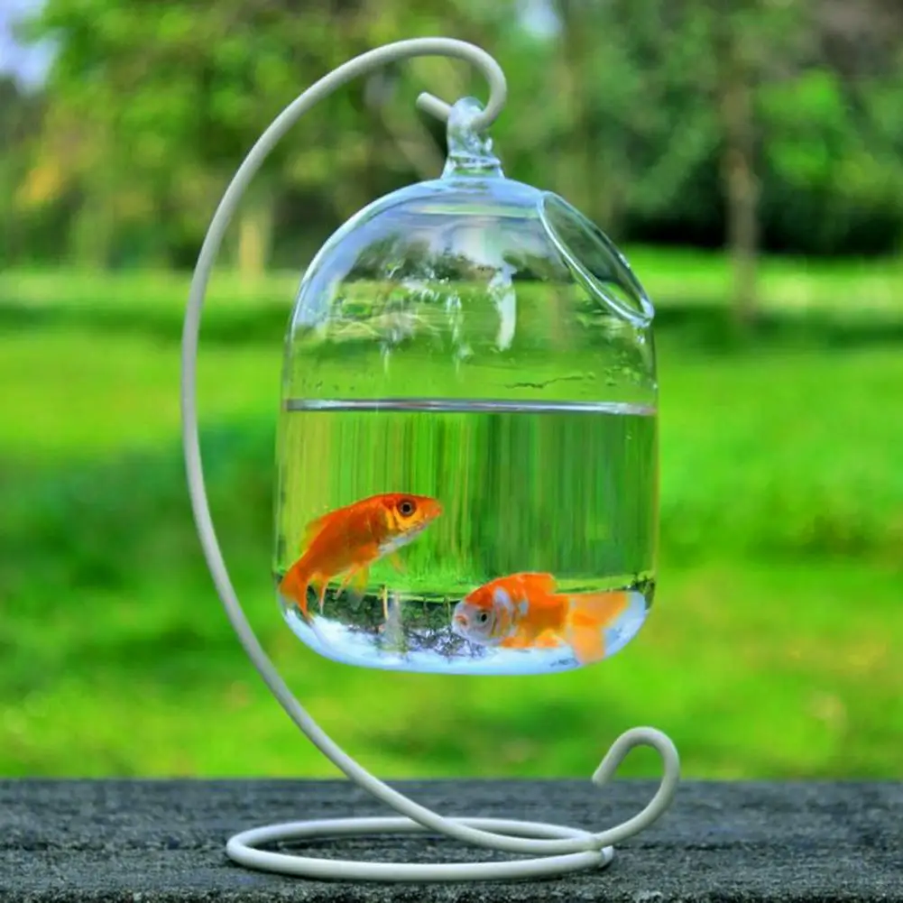 

70% Dropshipping!!Living room transparent hanging glass vase fish tank creative decoration fish tank