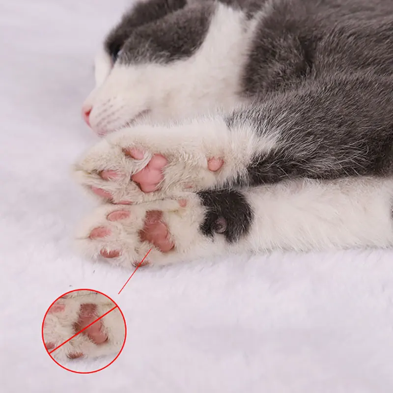 120 шт. в бутылке экстракт эалоэ влажные салфетки для собак кошек других домашних