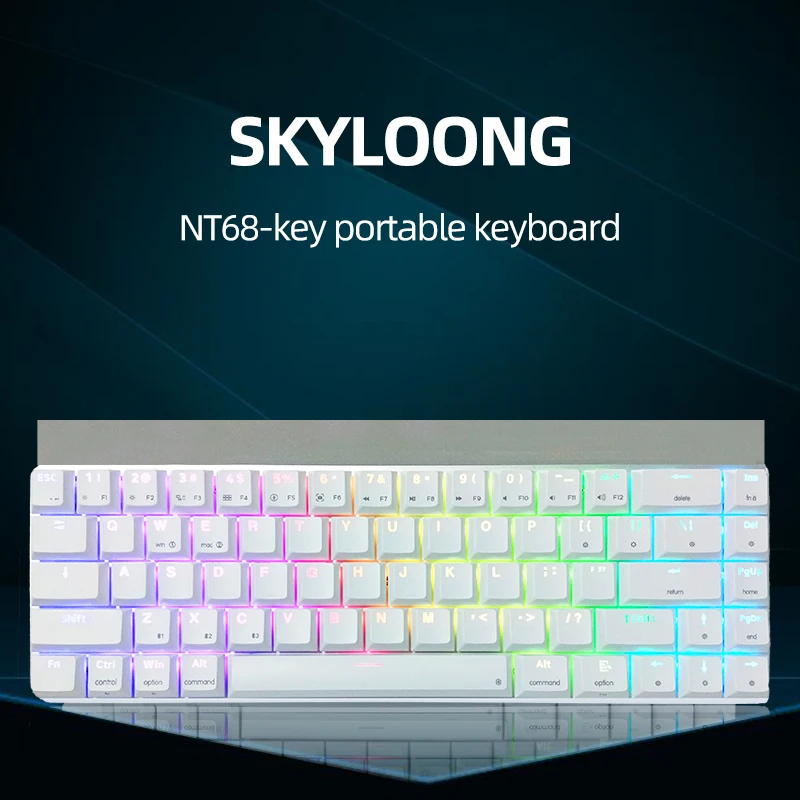 

SKYLOONG NT68 68 Keys Gateron Mechanical Gaming Keyboards, With Folding Bracket Blue RGB Switch USB Wireless Bluetooth Keyboards
